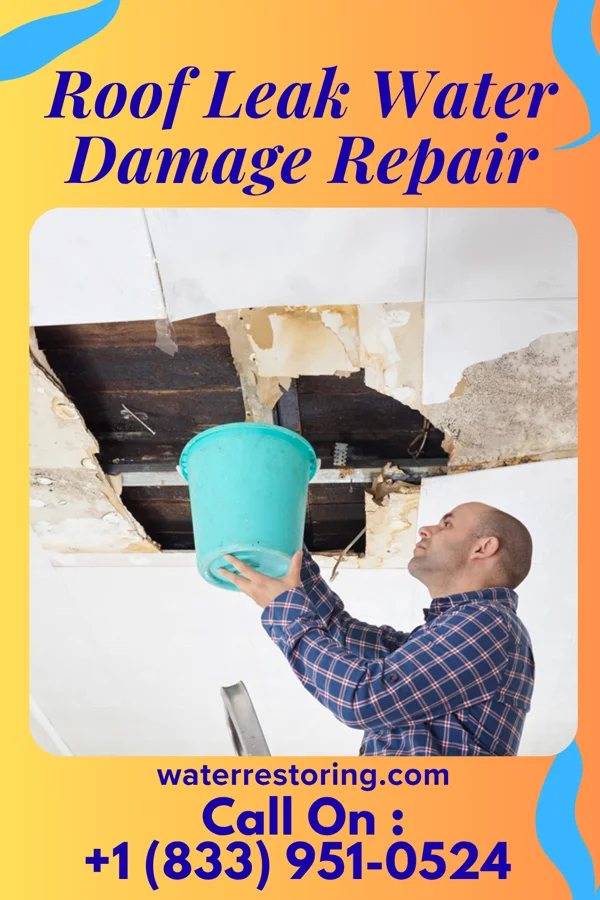 Roof Leak Water Damage Repair in Biggs, CA